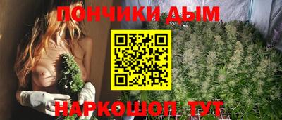 хмурый Тула