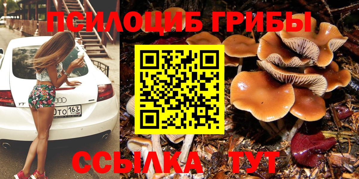 Борисоглебск  Галлюциногенные грибы GOLDEN TEACHER  Вход с VPN  Галлюциногенные грибы ЛСД 